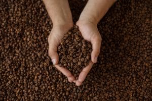 Dịch vụ kiểm nghiệm cà phê, hạt cà phê, bột cà phê và sản phẩm chế biến từ cà phê